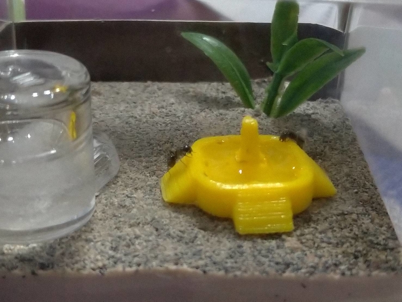 Ant feeding bowl - 螞蟻餵食盆