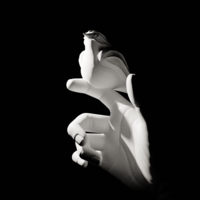 Bird resting on a hand - Thumbnail 1