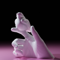 Bird resting on a hand - Thumbnail 2