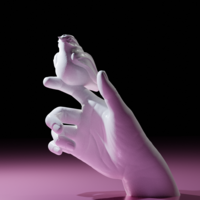 Bird resting on a hand - Thumbnail 4