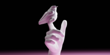 Image 249840