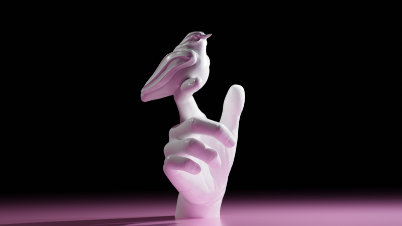 Bird resting on a hand