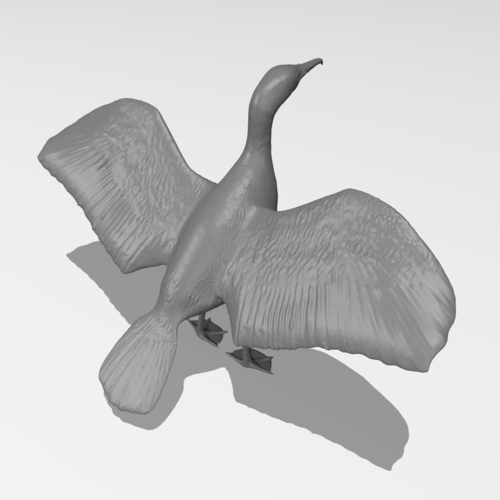 Great Cormorant 3D Print 249892