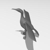 Great Cormorant - Thumbnail 3