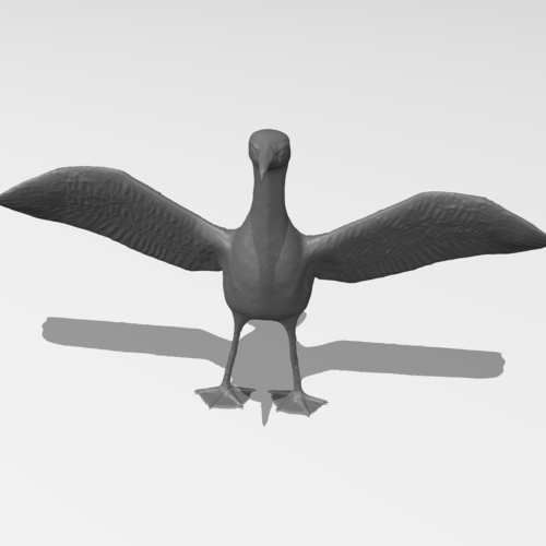 Great Cormorant 3D Print 249896