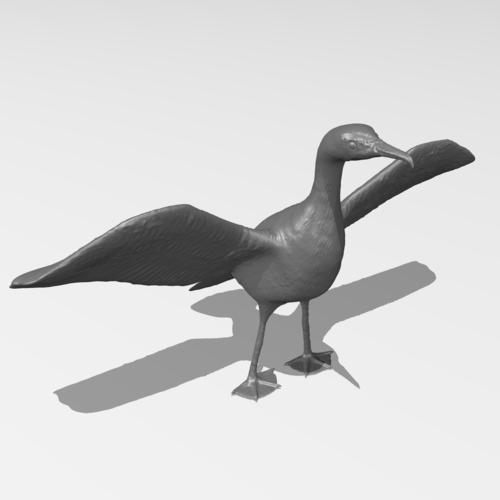 Great Cormorant 3D Print 249897