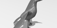 Image 249899