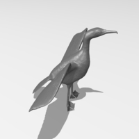 Great Cormorant - Thumbnail 8