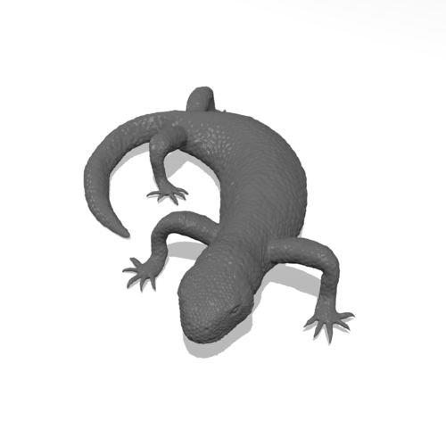 Mexican Beaded Lizard(Heloderma Horridum) 3D Print 249916