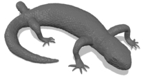 Image 249917