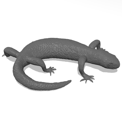 Mexican Beaded Lizard(Heloderma Horridum) 3D Print 249918