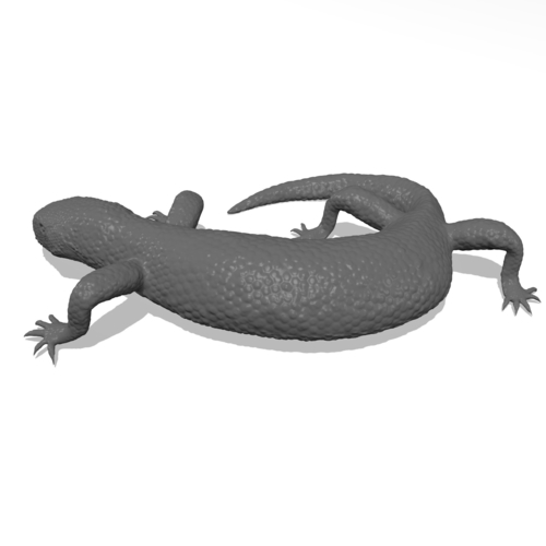 Mexican Beaded Lizard(Heloderma Horridum) 3D Print 249921