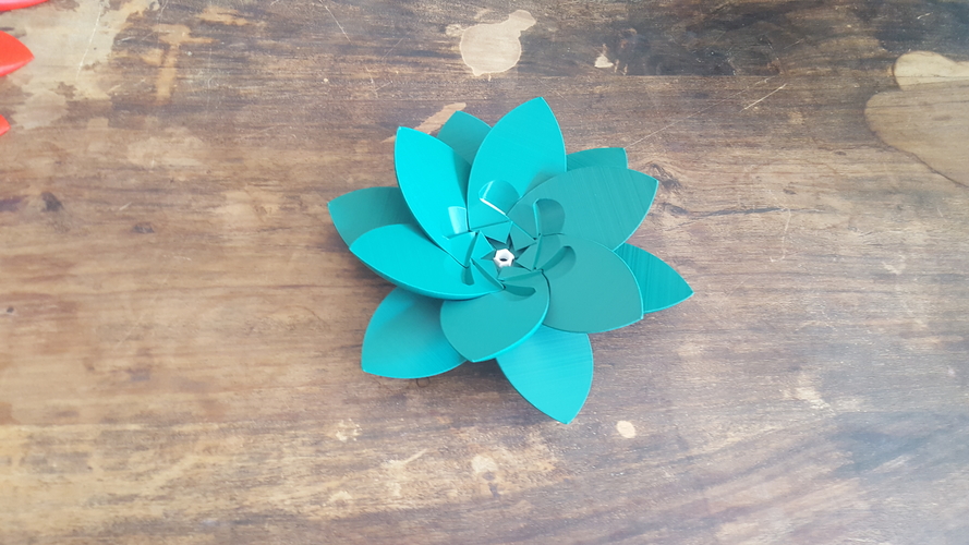 Lotus Puzzle 3D Print 249931