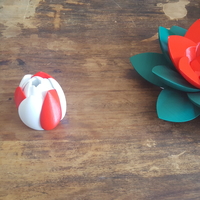 Lotus Puzzle - Thumbnail 7