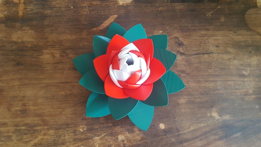 Lotus Puzzle 3D Print 249940