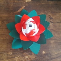 Lotus Puzzle - Thumbnail 9