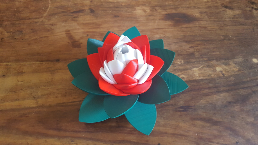 Lotus Puzzle 3D Print 249942