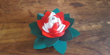 Image 249942
