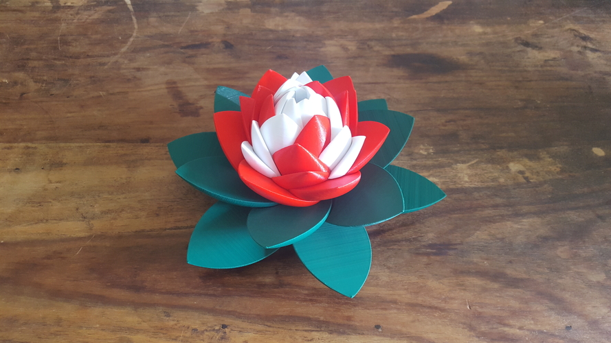 Lotus Puzzle 3D Print 249943