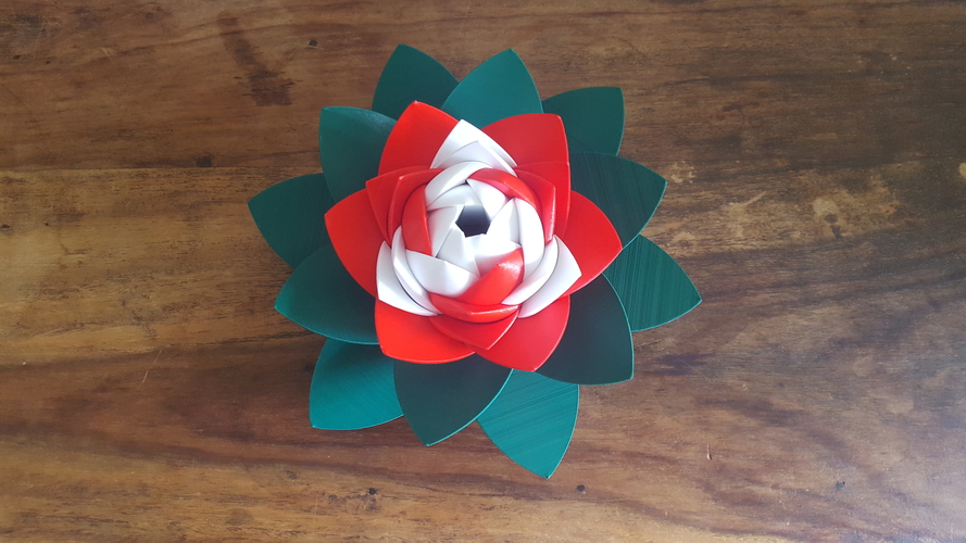 Lotus Puzzle 3D Print 249944