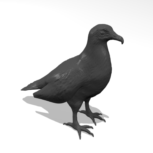 Vulture 3D Print 249956