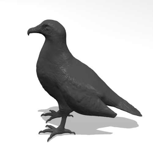 Vulture 3D Print 249958