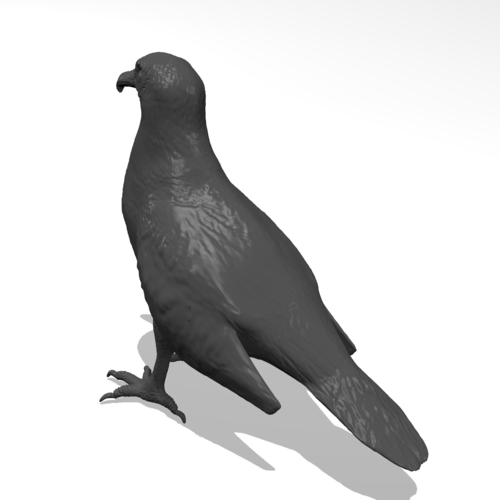 Vulture 3D Print 249959