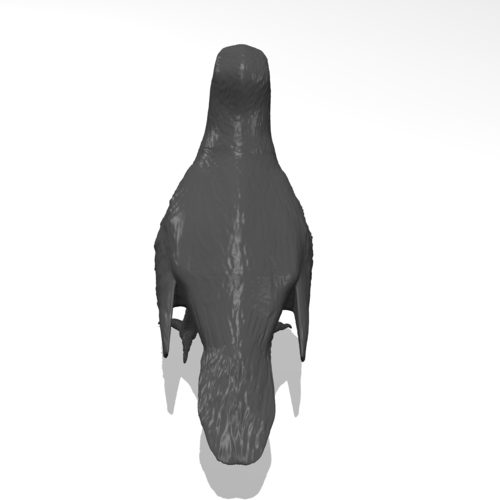 Vulture 3D Print 249960