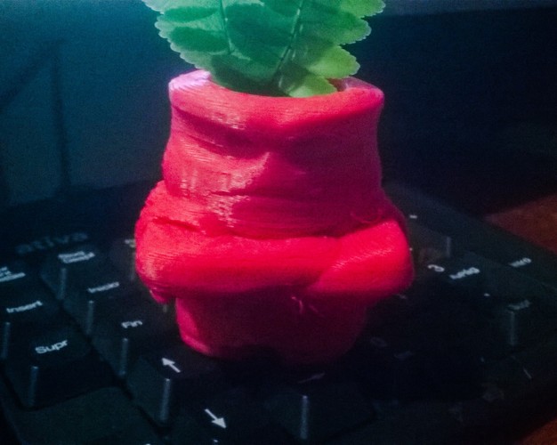 Inside Out Anger Planter 3D Print 25026