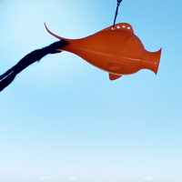 💨 Wind Vane 🚩 - Thumbnail 2