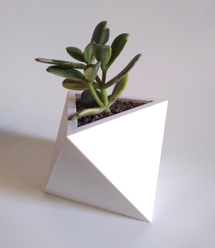 Octahedron Planter (Harom Farkas)