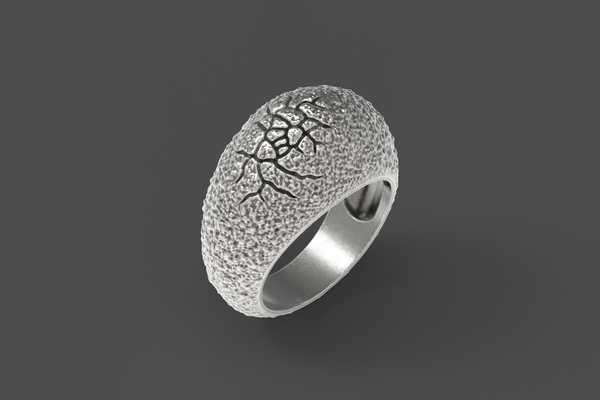 Medium Egg ring 3D Printing 251113