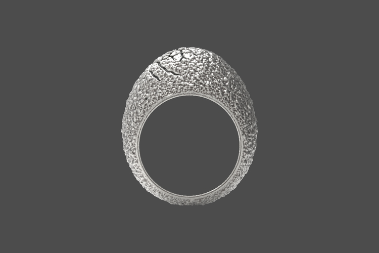Egg ring 3D Print 251114