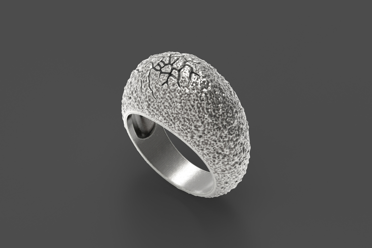 Egg ring 3D Print 251116