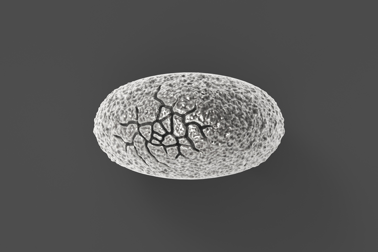 Egg ring 3D Print 251117