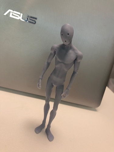 Tragedian (Pathologic 2) 3D Print 251595