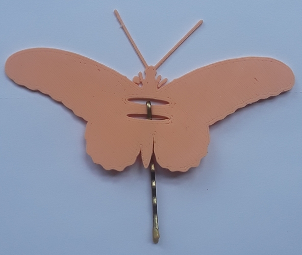 Butterfly Fun 3D Print 251825