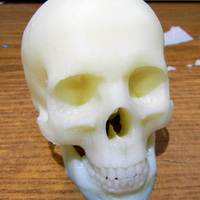 Small Skull 3D Printing 25241