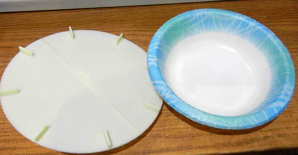Anti Splatter paper bowl cover 3D Print 25246
