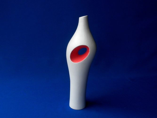 A Pair of Vases 3D Print 254166