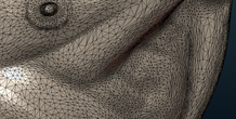 Image 254328