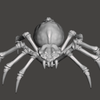 Spider - Thumbnail 3