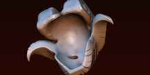 Image 255146