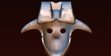 Image 255153