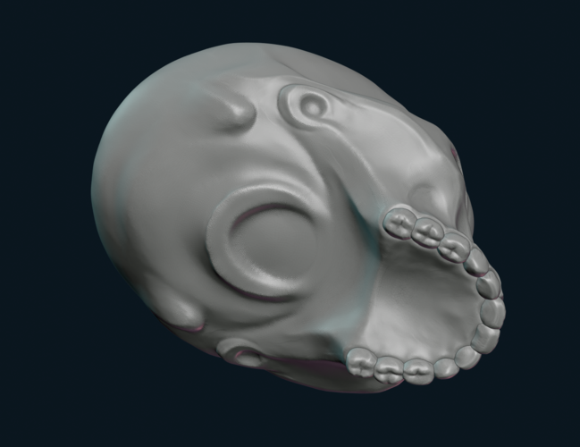 Stylized Skull 3D Print 256008