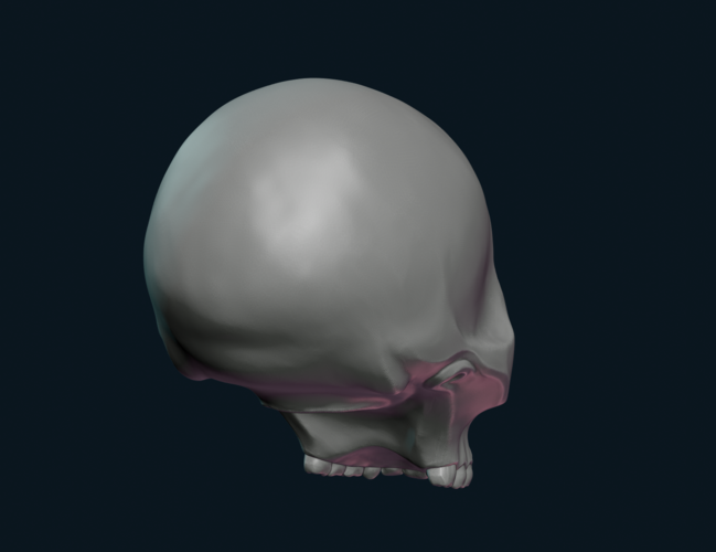 Stylized Skull 3D Print 256010