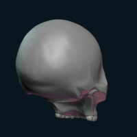 Stylized Skull - Thumbnail 12