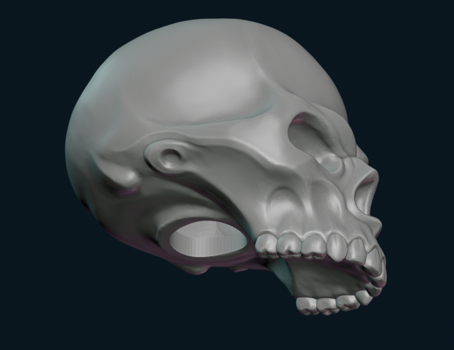 Stylized Skull 3D Print 256012