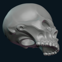 Stylized Skull - Thumbnail 14