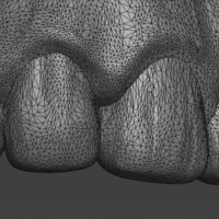 Stylized Skull - Thumbnail 17